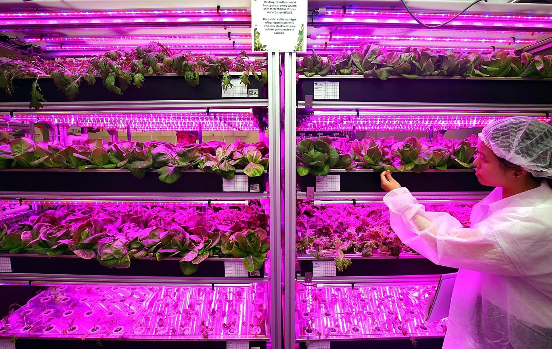 The Agriculture Technology Laboratory will be equipped with indoor farming systems. 