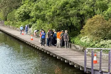 'Tourists' accused of plucking plants at Gardens by the Bay turn out to be volunteers
