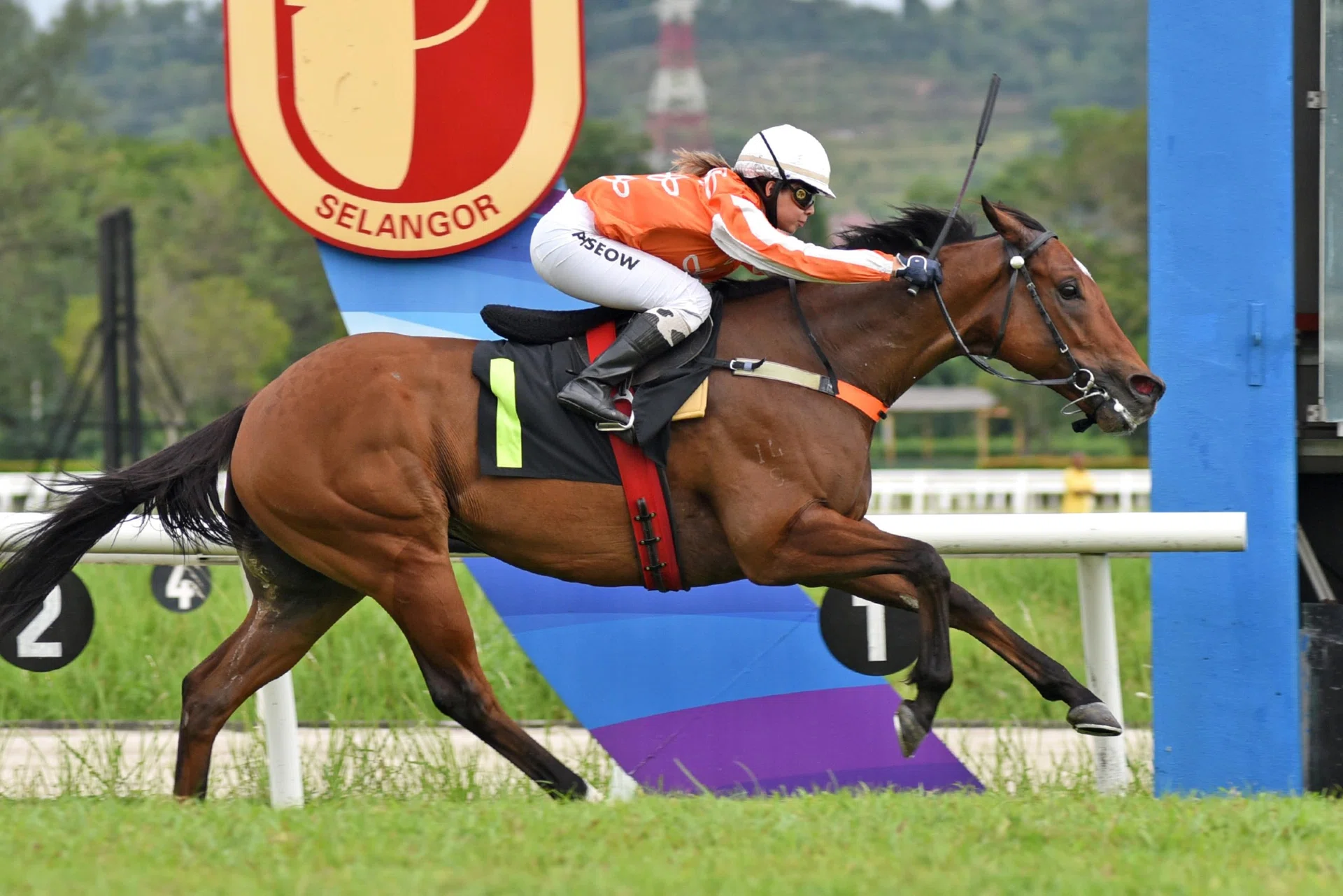 Sprinter Pacific Vampire (Jerlyn Seow) saluting in the Supreme A event (1,020m) at Sungai Besi on Aug 17.