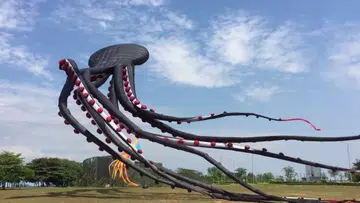 Watch out! Giant octopus kite in Singapore goes viral