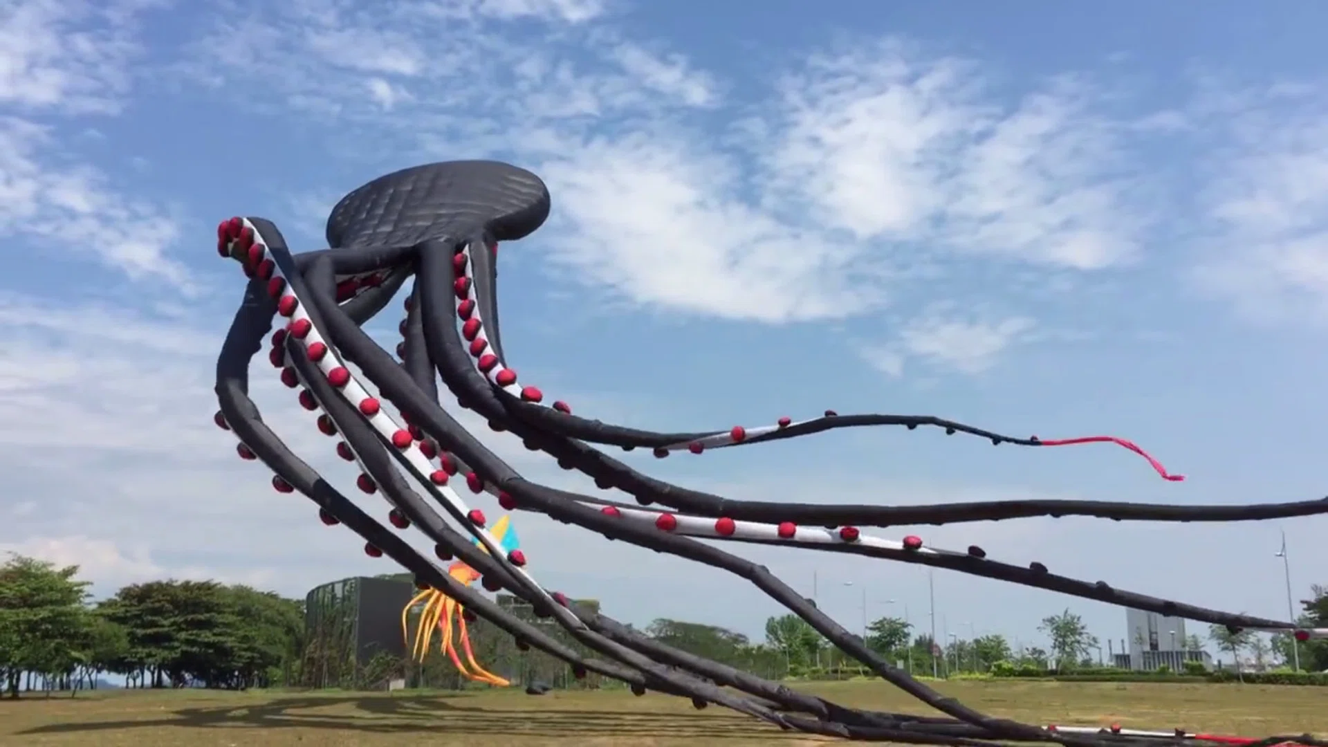 A screen cap from the giant octopus kite video that has gone viral on Facebook.
