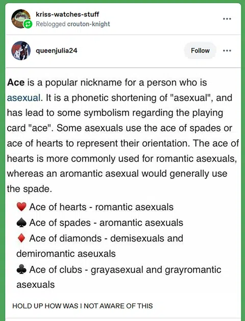 Tumblr is a common source of information for asexuals and aromantics.