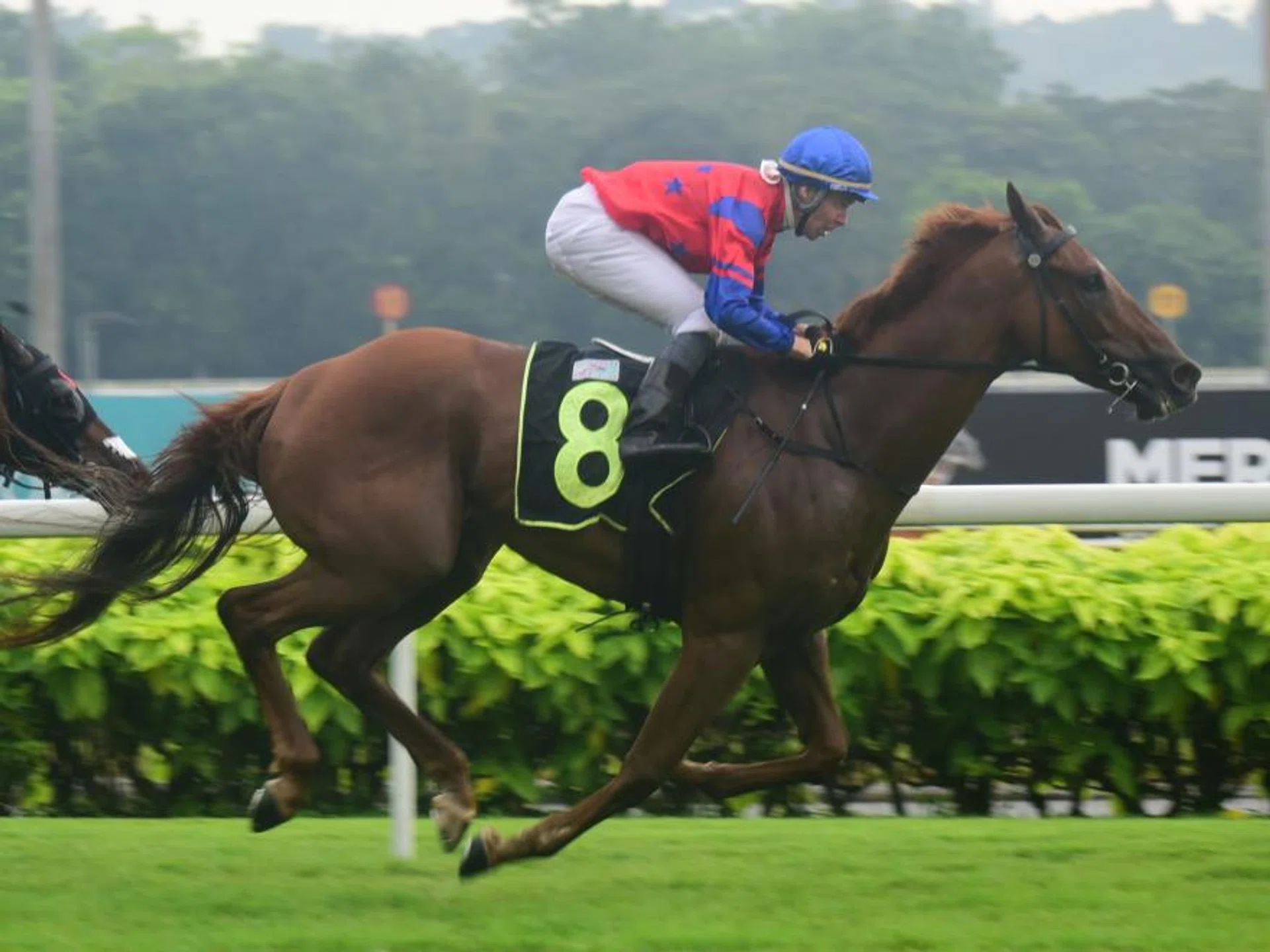 Lightning Strike (Ronnie Stewart) recording the second of his four straight wins in 2023 in a Class 4 1,600m race at Kranji on Oct 21.
