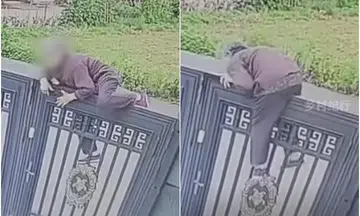 Woman, 92, scales 2m-tall gate to escape China nursing home