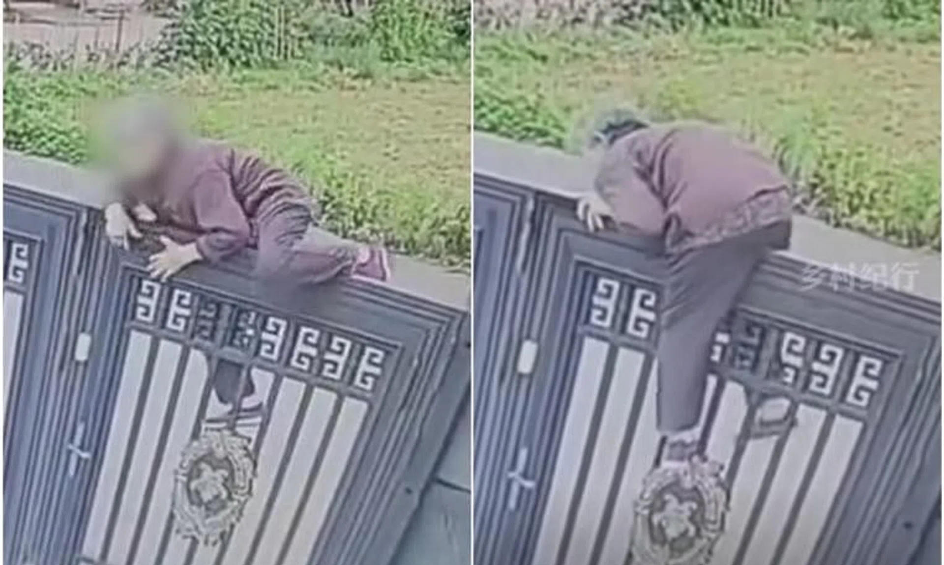The director of the nursing home said the woman suffers from severe Alzheimer’s disease.