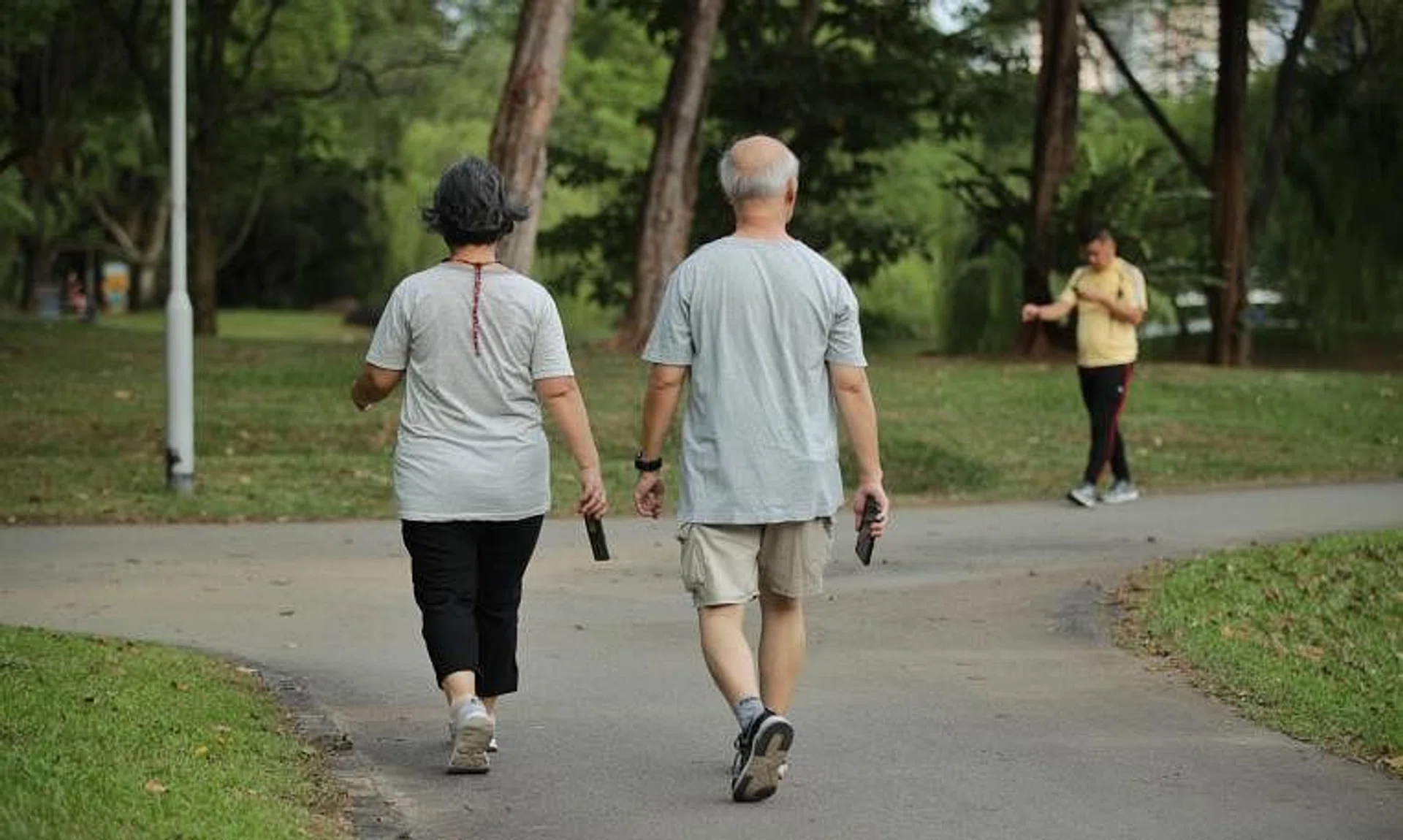 MediShield Life is a basic, mandatory health insurance plan launched in November 2015 to protect all Singaporeans against large medical bills for life, regardless of pre-existing conditions .