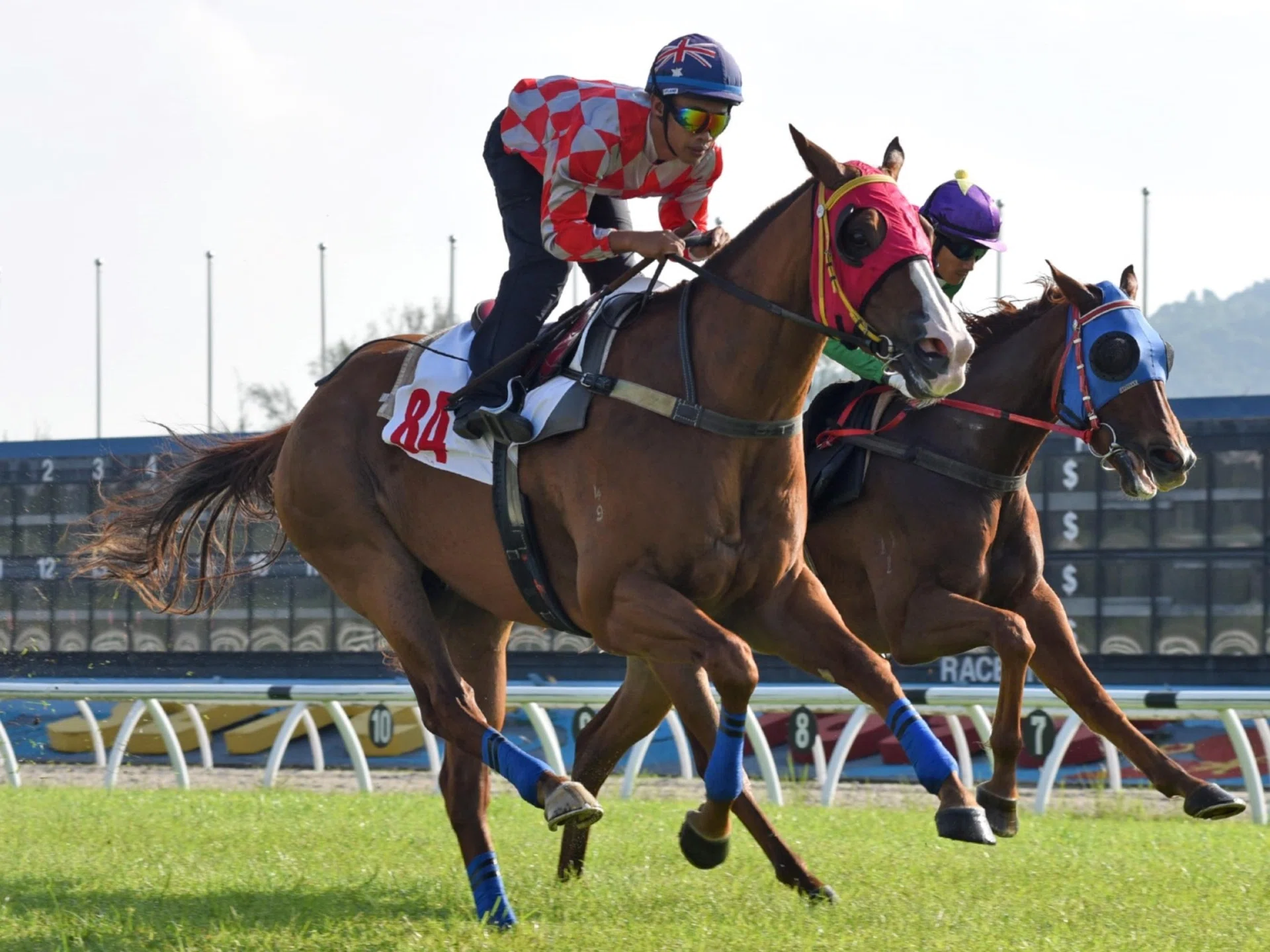 Shirvo, under a track rider, getting the measure of Yes Man (Liang Xiaochuan) by half-a-length in the first barrier trial at Sungai Besi on April 15.
