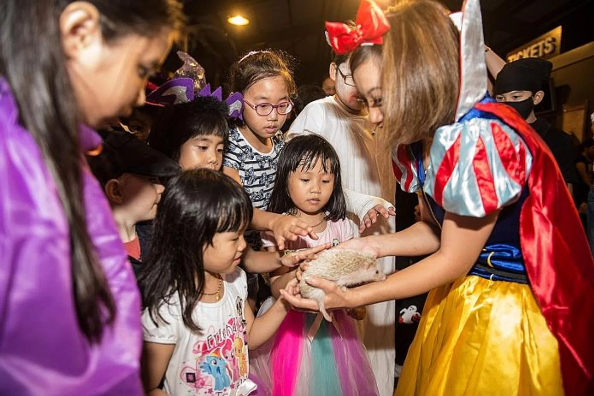 FUN-FILLED: Last year's participants got to see a pygmy hedgehog