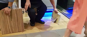 Glue-trapped rat falls from foodcourt ceiling