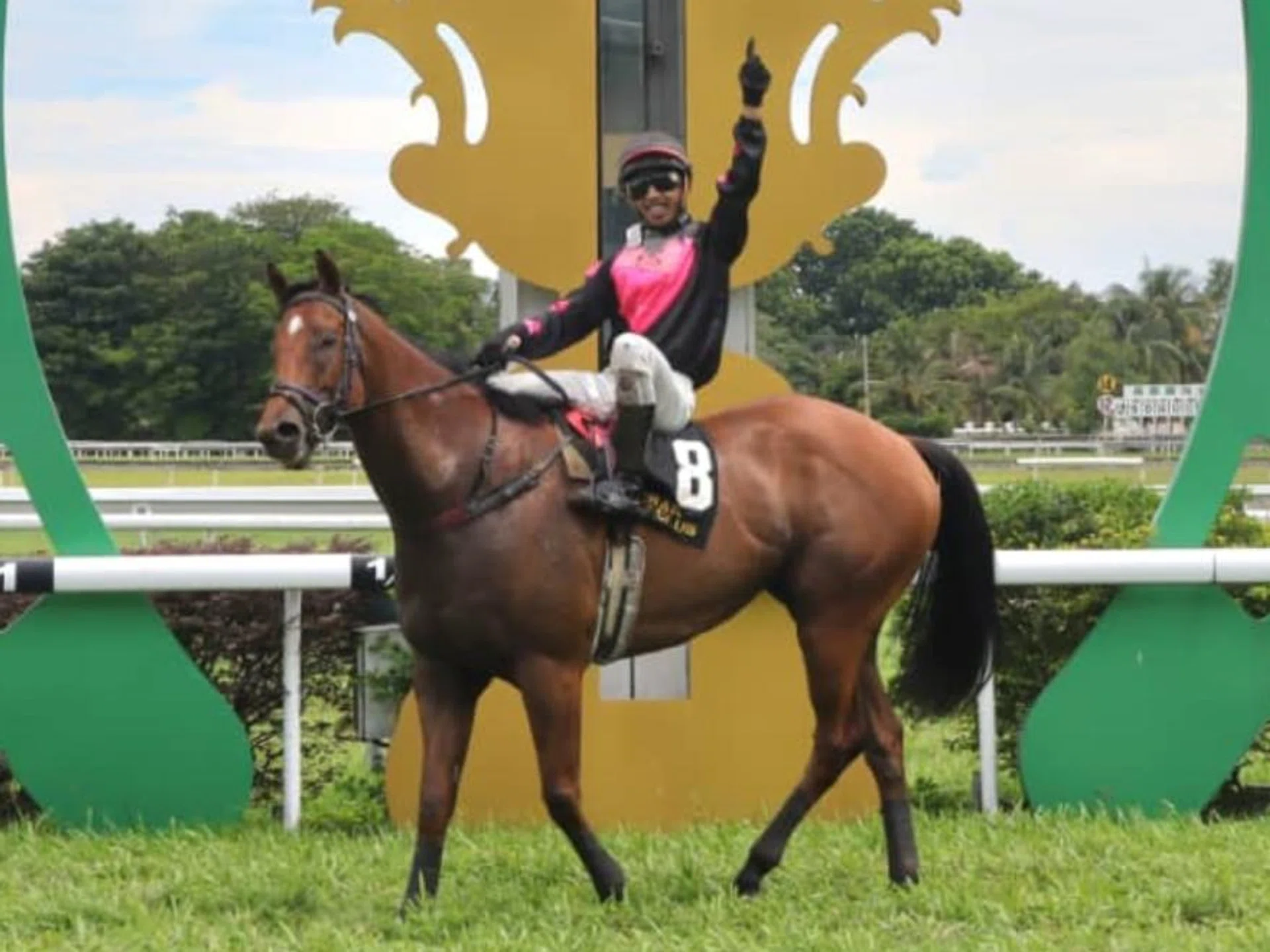 Trigger Pegasus (Azizi Awang) returning to scale after his win for trainer Nick Selvan in the Charity Cup in Ipoh on Aug 25.
