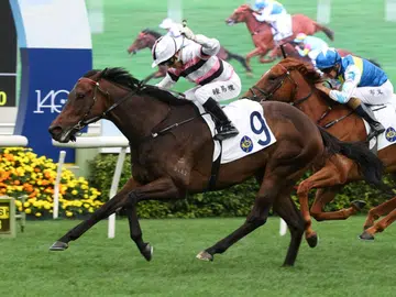 Oct 26 Hong Kong (Sha Tin) form analysis