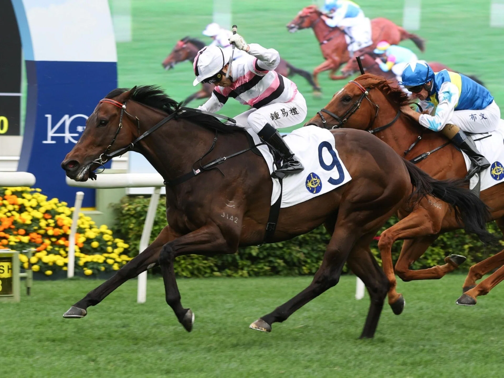 Divano (Angus Chung) bursting through to claim the Healthy Community Class 1 race (1,400m) at Sha Tin on April 13. The Francis Lui-trained five-year-old gelding will run in the Group 2 Premier Bowl (1,200m) at Sha Tin on Oct 26. 