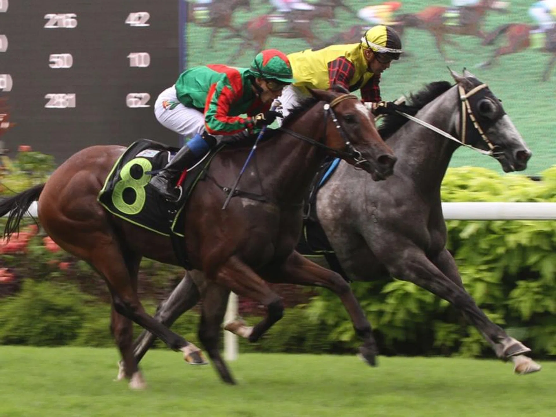 Flying Nemo (Carlos Henrique, No. 8) beating Energy Baby (Ruan Maia) by a nose in the Class 3 1,400m race on May 18. Odds-on favourite Pacific Vampire finished unplaced.