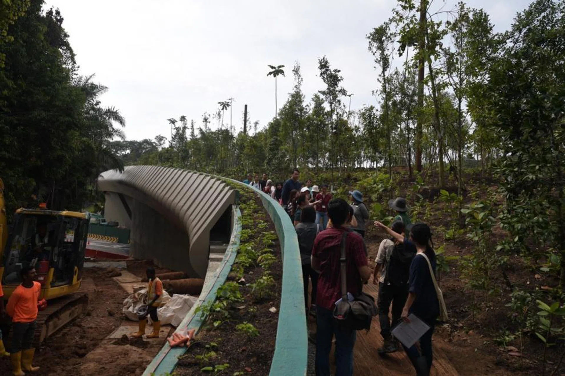 The bridge is the latest in a slew of measures that MPH has put in place to reduce the incidence of roadkill. 