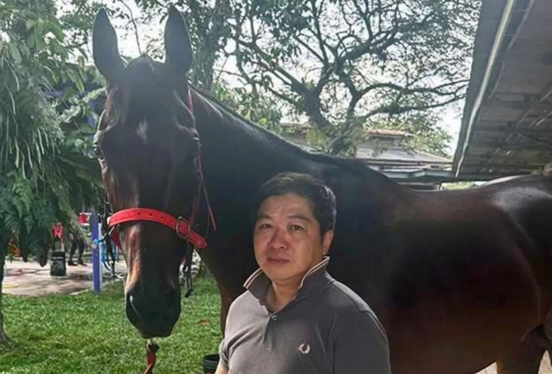 Former Macau-based trainer Ricky Choi Chun Wai with one of his 27 horses stabled at Sungai Besi. He is hoping for a winning start to his Malaysian tenure on Nov 17.
