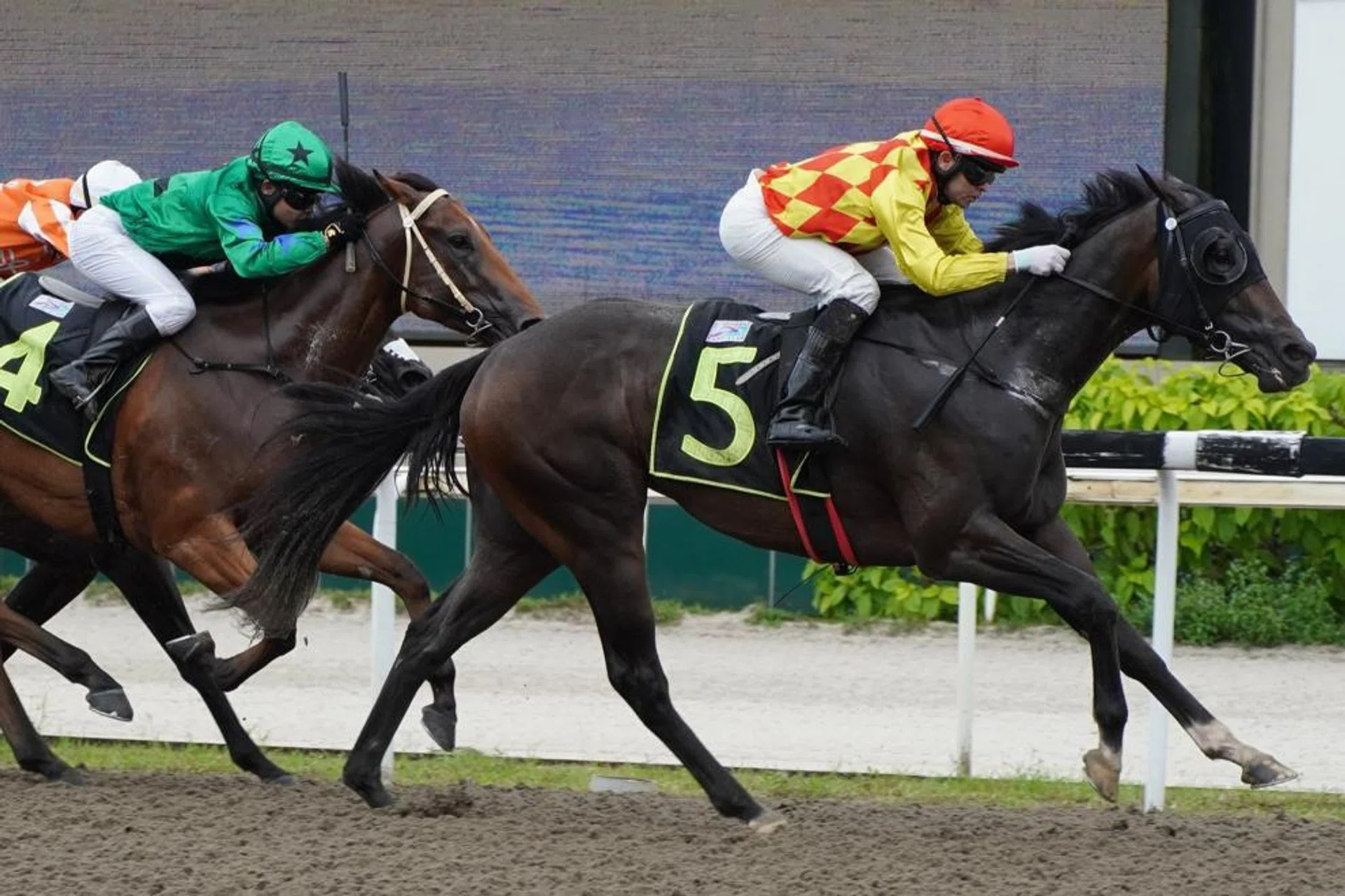 Golden Brown (Manoel Nunes) recording the second of his two wins in a Class 4 race (1,200m) on Jan 6.
