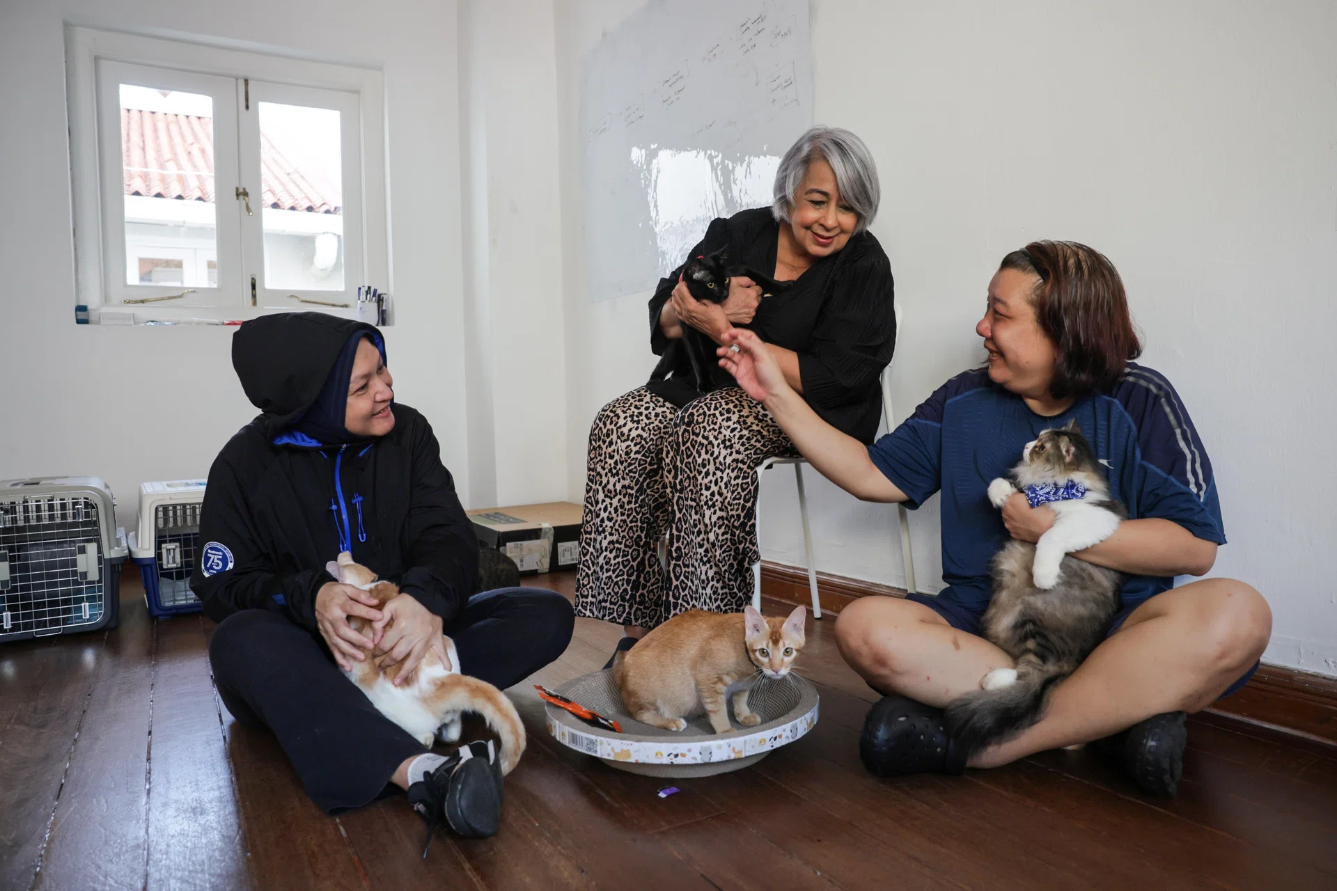 (From left) Cat feeders Yurhaini Hashim, Shereen Adwaney and Mindy Cheong at a fund-raising event on May 25.