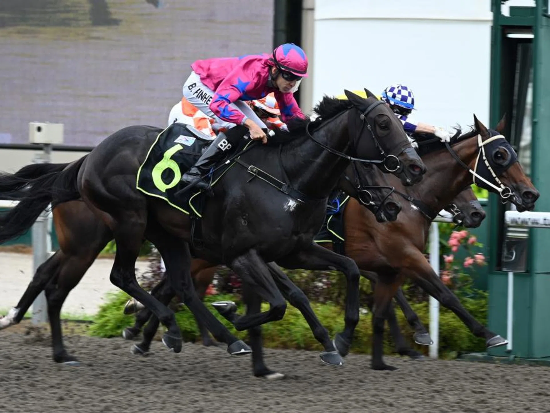 Bernardo Pinheiro bringing Lover Boy home with a well-timed finish in the Open Maiden (1,100m) on June 1.

