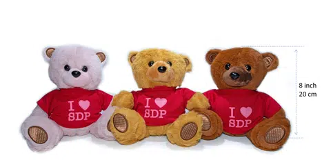 Danny the democracy bear.