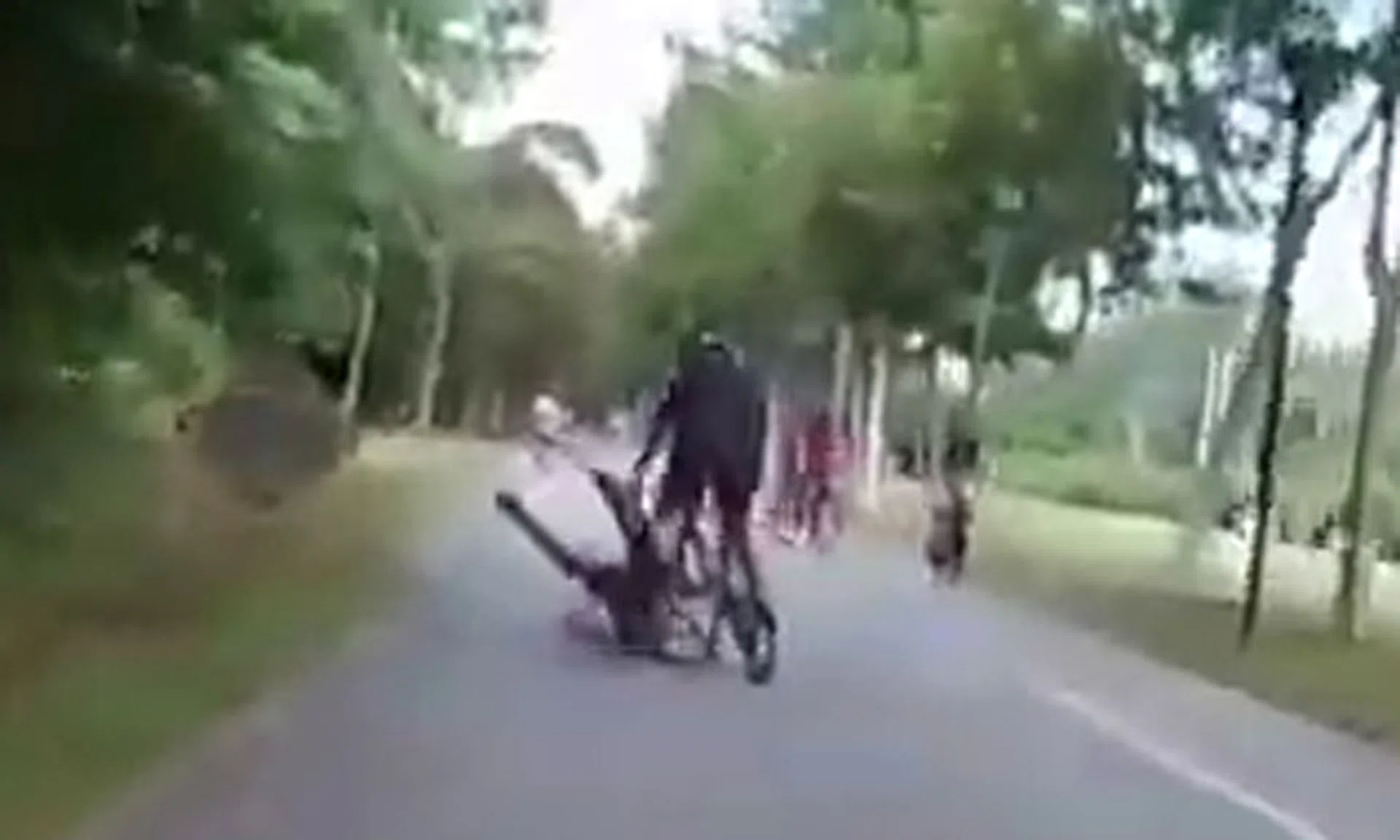 The jogger fell after a cyclist collided into him along a park connector.