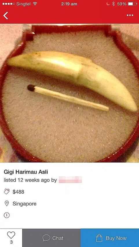 Banned amulets with animal parts on sale online