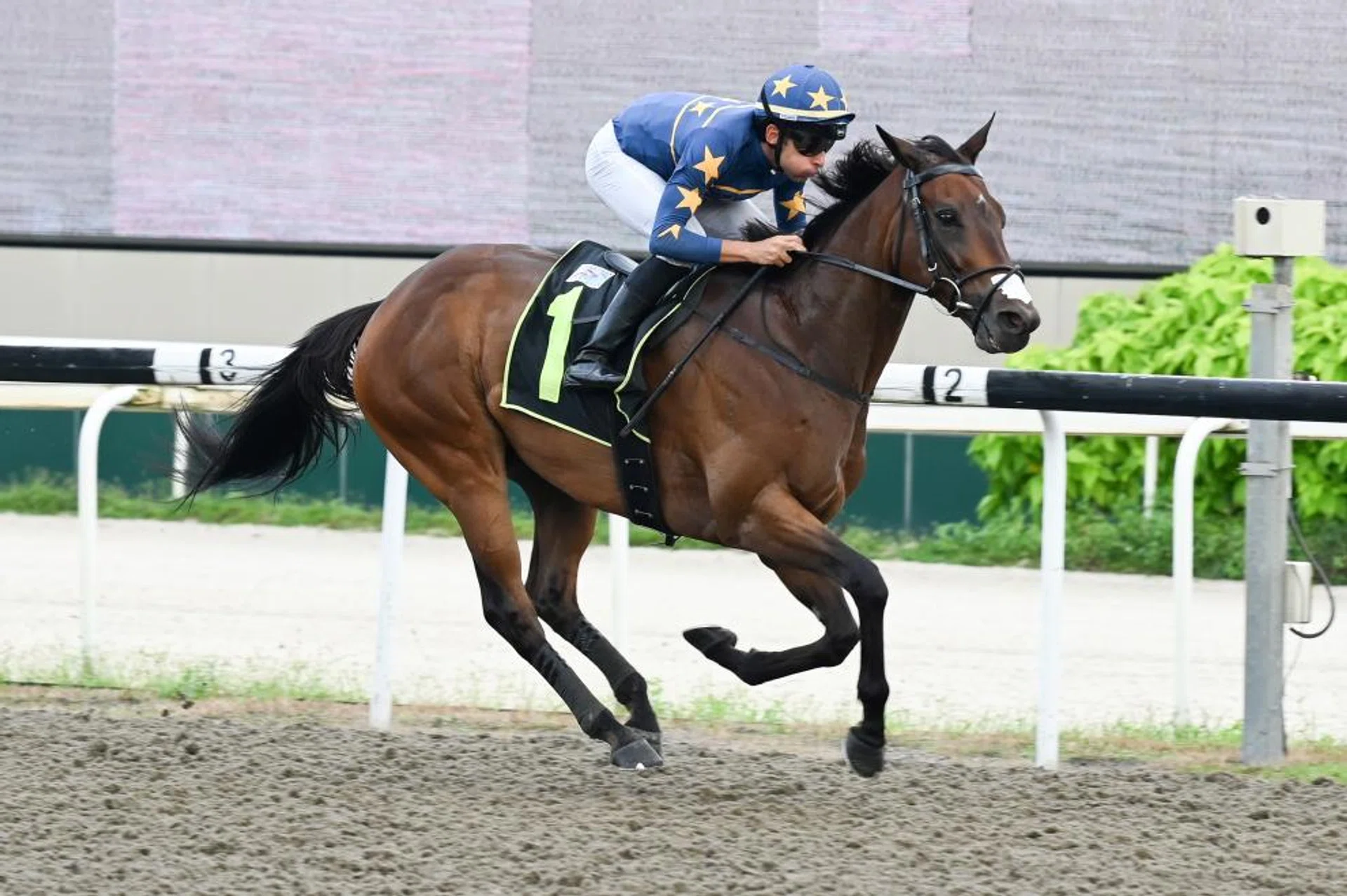 Superstar Lim's Kosciuszko (Marc Lerner) striding away to a smashing first-up win in the Kranji Stakes A race (1,200m) on Polytrack on March 23. Daniel Meagher's champion has not raced since his Hong Kong defeat.