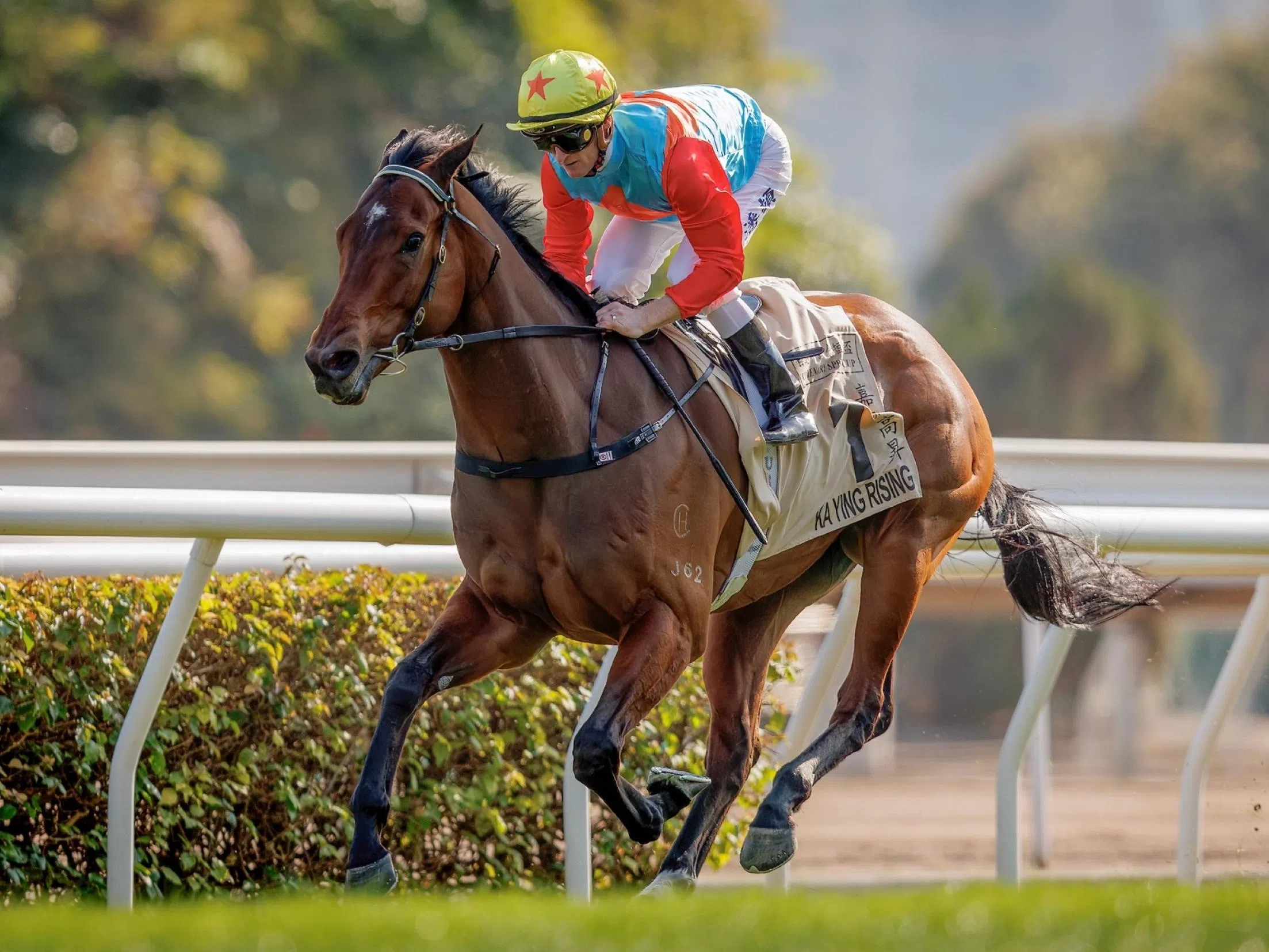 Everest is a different kettle of fish: McDonald