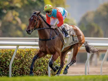 Everest is a different kettle of fish: McDonald