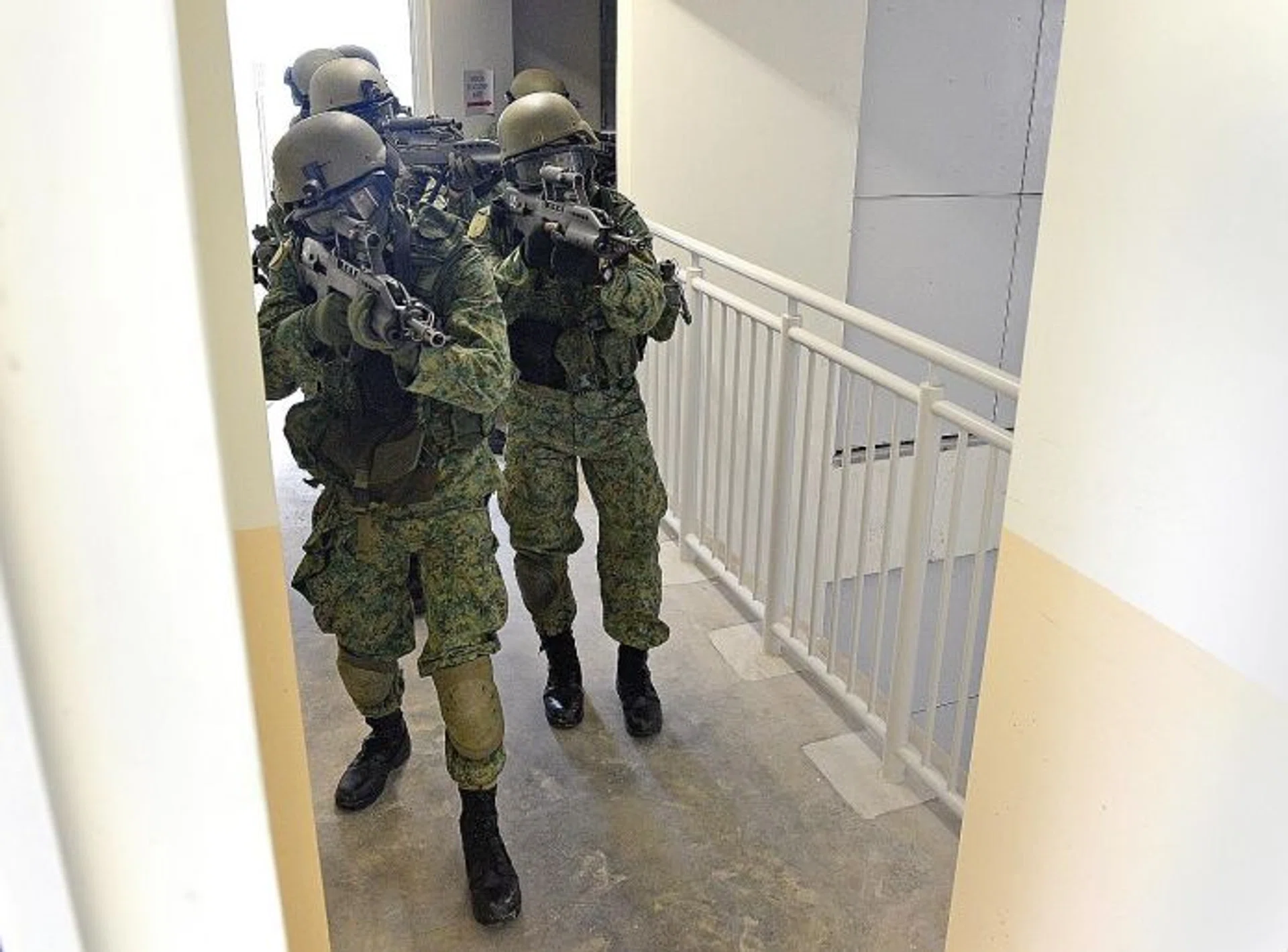 TOP UNITS: 1 Commando Battalion, winner of the Best Combat Unit award, in a live demonstration of commando combat training. 