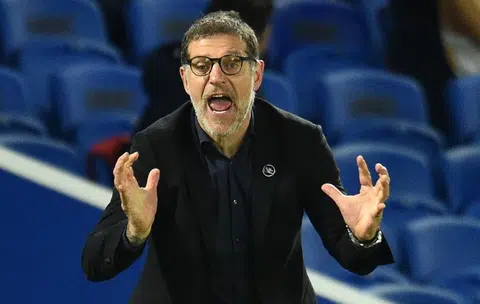West Brom sack manager Bilic