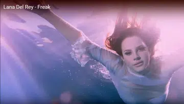 Must-see MVs