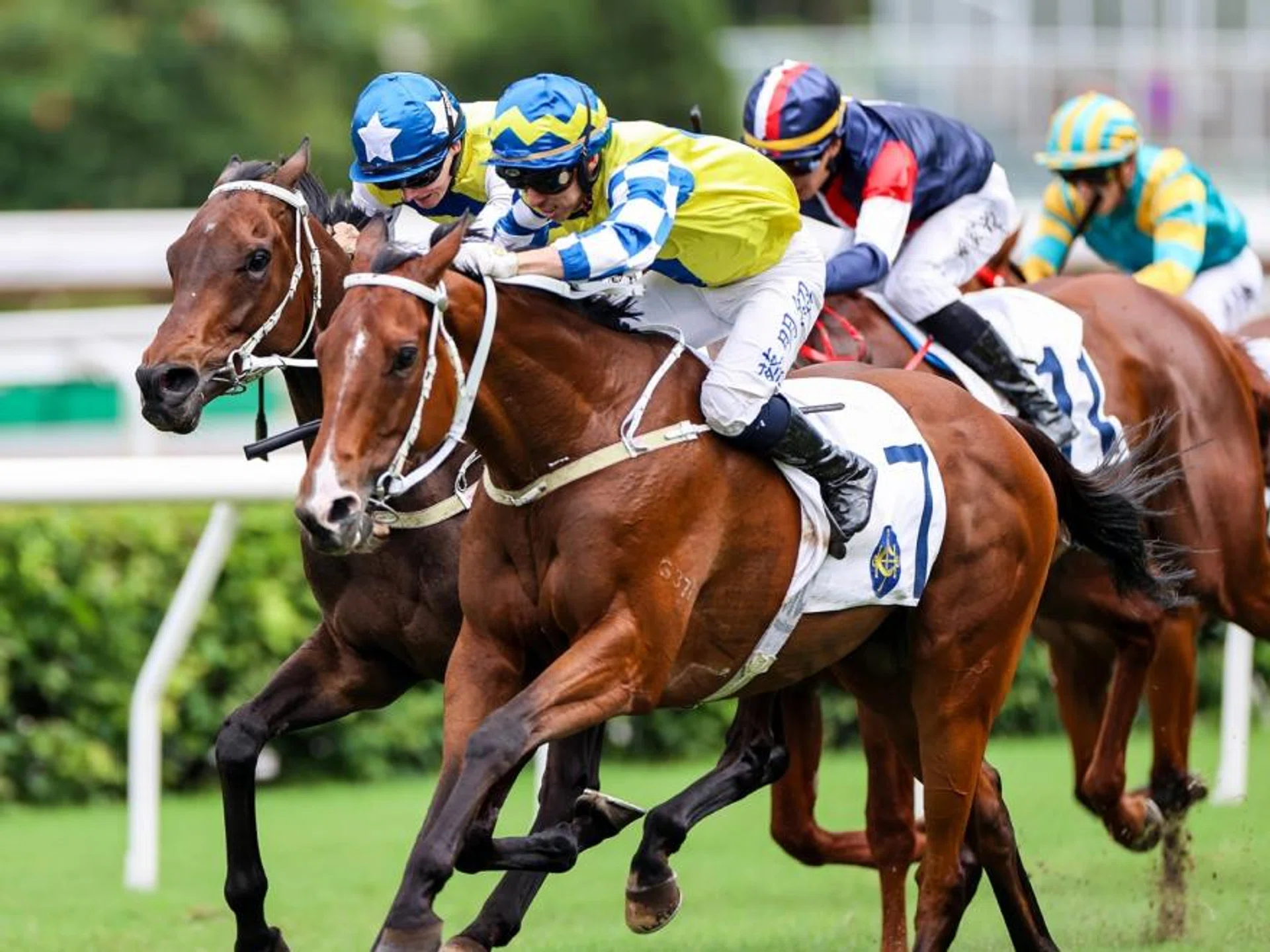 The Matthew Chadwick-ridden La City Blanche (No. 7) staving off Five G Patch (Harry Bentley) to give trainer Tony Cruz a stable queue up in the Group 3 Queen Mother Memorial Cup (2,400m) at Sha Tin racecourse on May 5. 