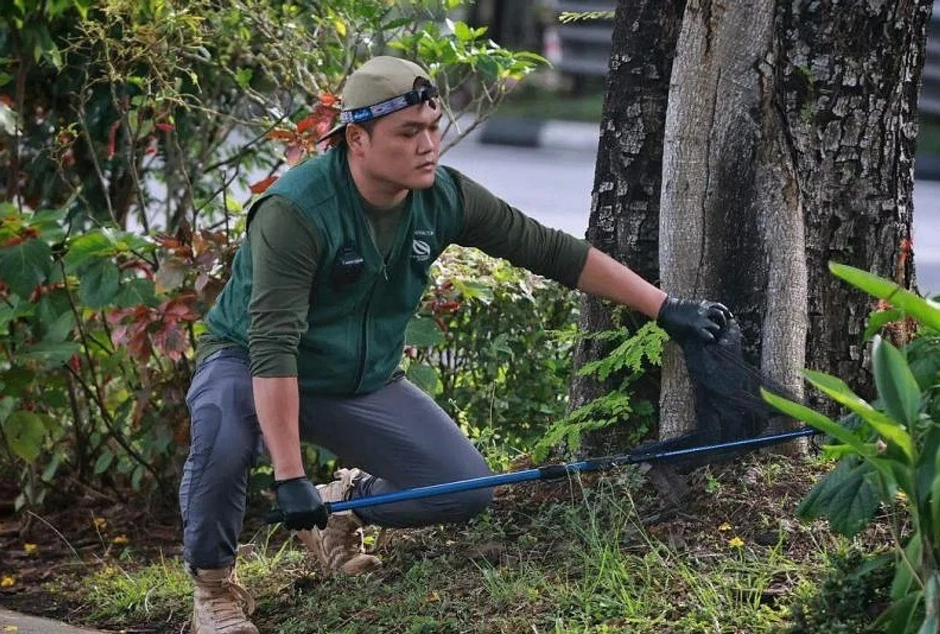 A NParks staff catches a crow which appeared to be injured near block 110 Bishan street 12 on Feb 15, 2023.