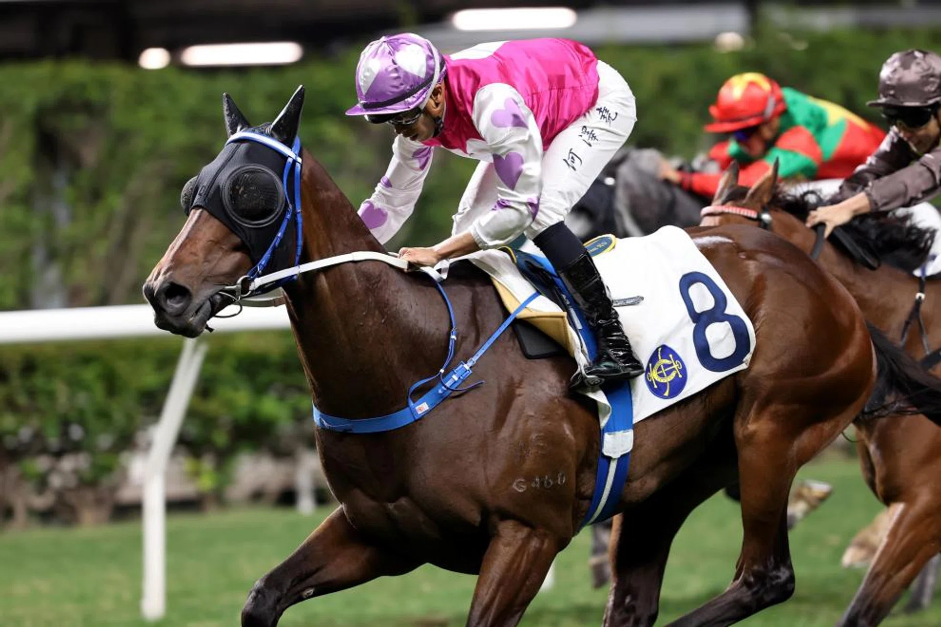 The Caspar Fownes-trained M Unicorn has won four times this season. The rapidly rising star's ascent appears far from over and, from an ideal draw, he is the one to beat in Race 7.