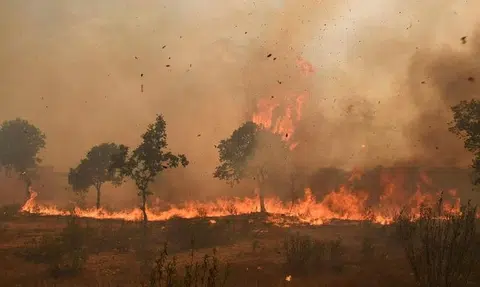 Heatwave ripples across Europe as firefighters battle to contain wildfires