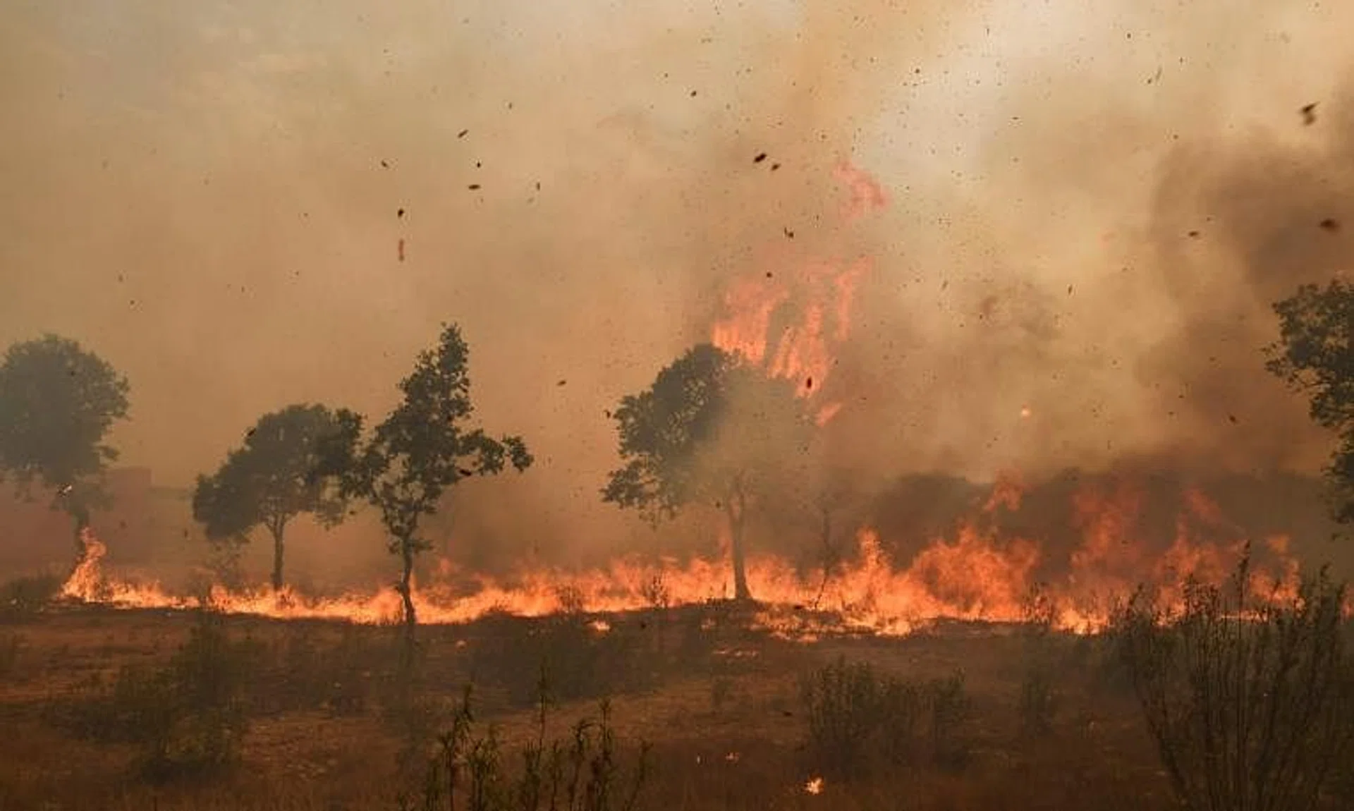 Flames rise from a forest near the village of Pumarejo, northern Spain, on July 18, 2022. 