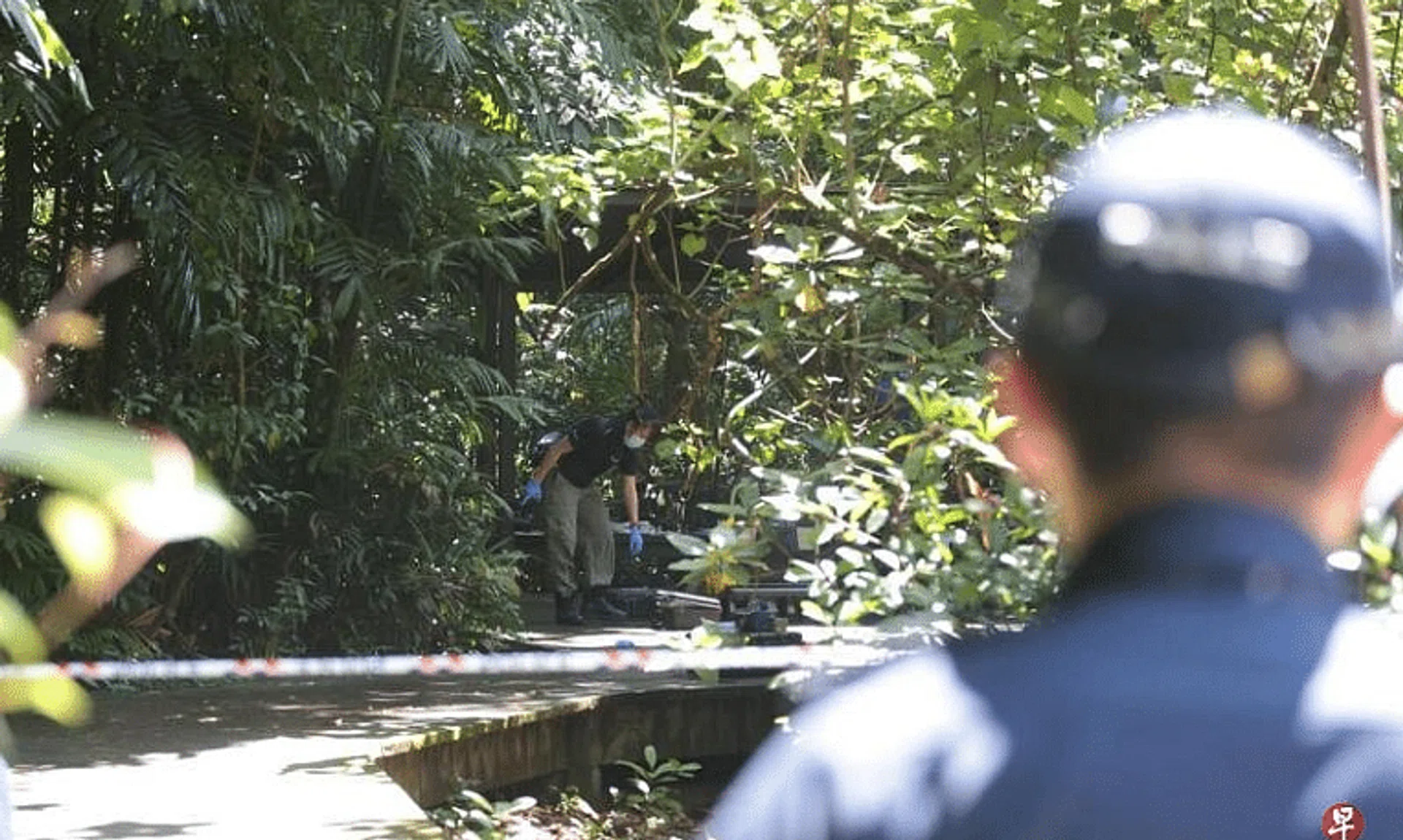 According to Chinese daily Lianhe Zaobao, the incident happened at about 6am near a bird watching tower at the park.