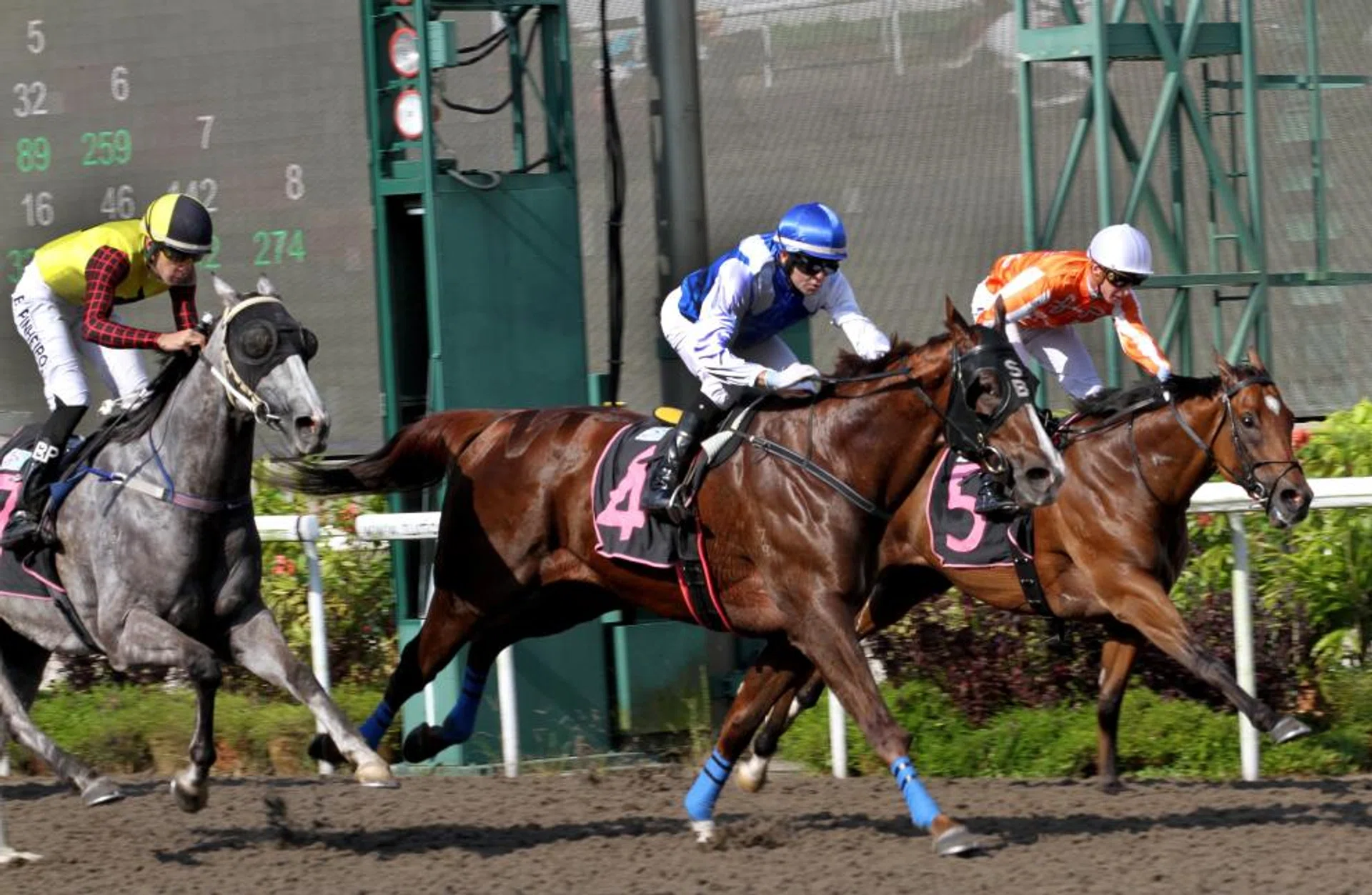 Ejaz (Manoel Nunes, No. 4) finishing the best to beat Pacific Vampire (Daniel Moor, No.5) in the Class 3 race over 1,000m at Kranji on July 13.