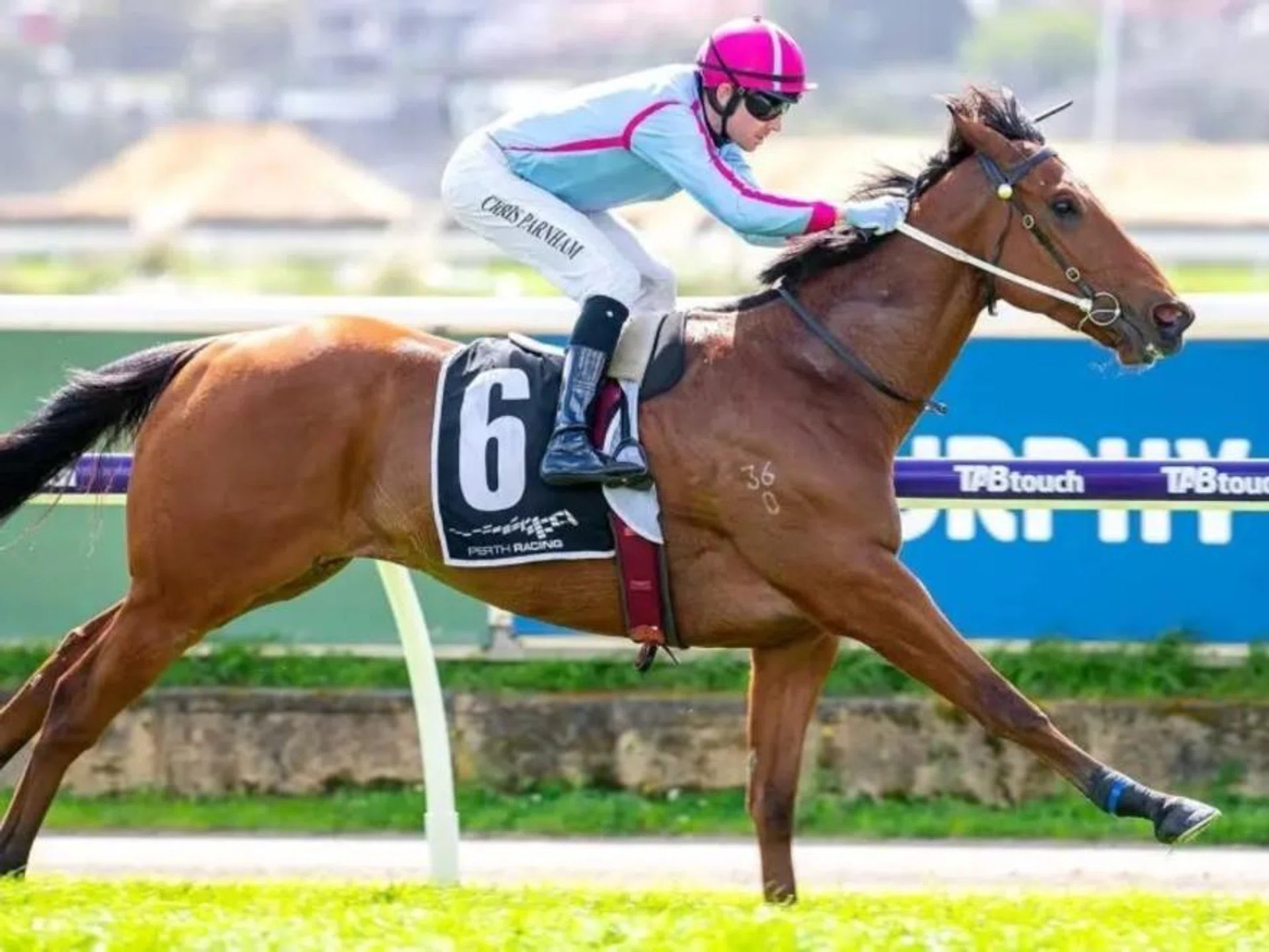 Bravo Centurion (Chris Parnham) bringing up the third leg of his six-in-a-row at Ascot in a race over 1,000m at Belmont on Aug 24. The bid for the unbeaten run to continue comes in the Group 1 Winterbottom Stakes on Nov 30.
