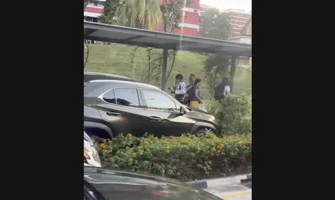 Viral video of Lexus SUV on grass verge draws derision from netizens