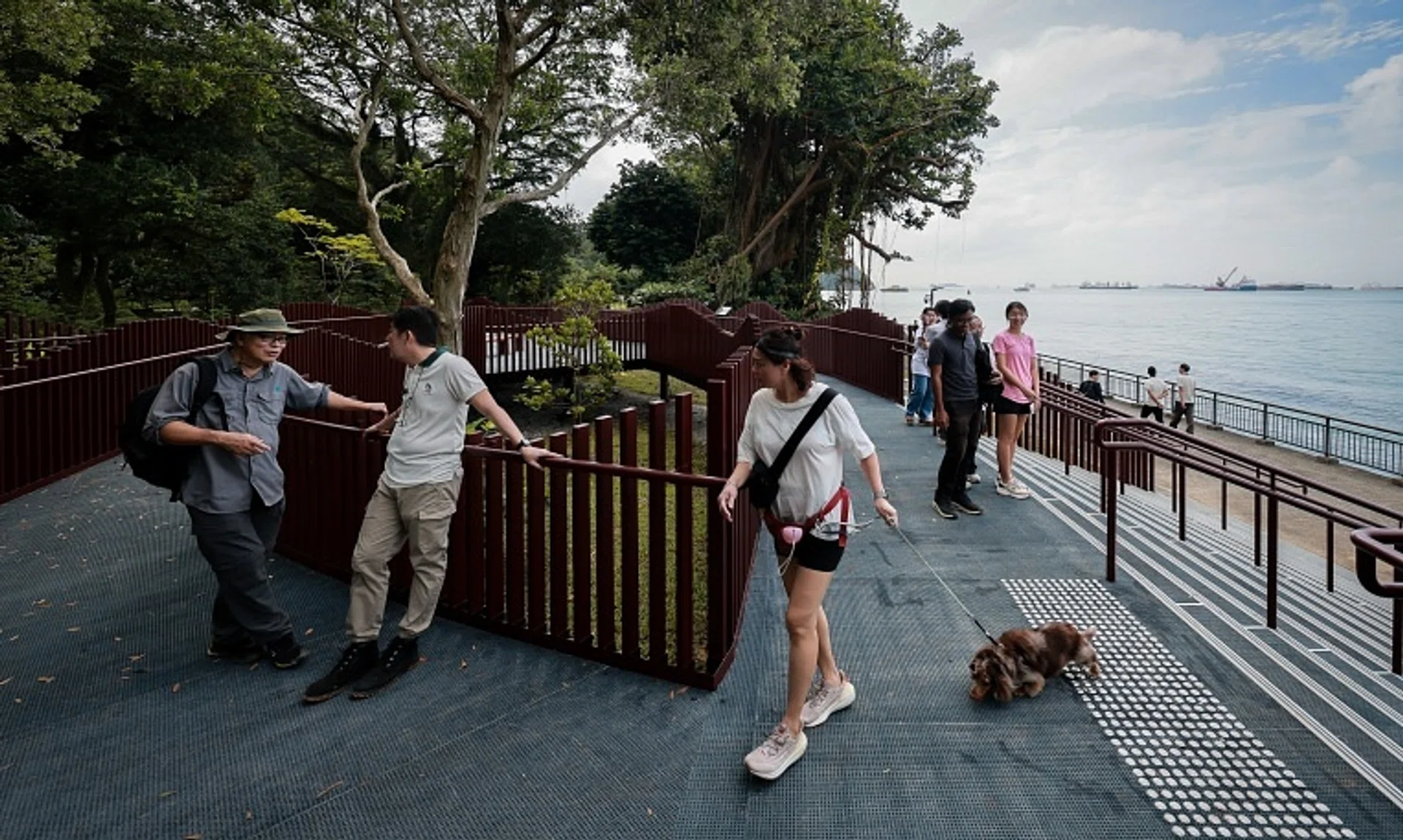 The elevated boardwalk at the new Keppel Coastal Trail at Labrador Nature Park.