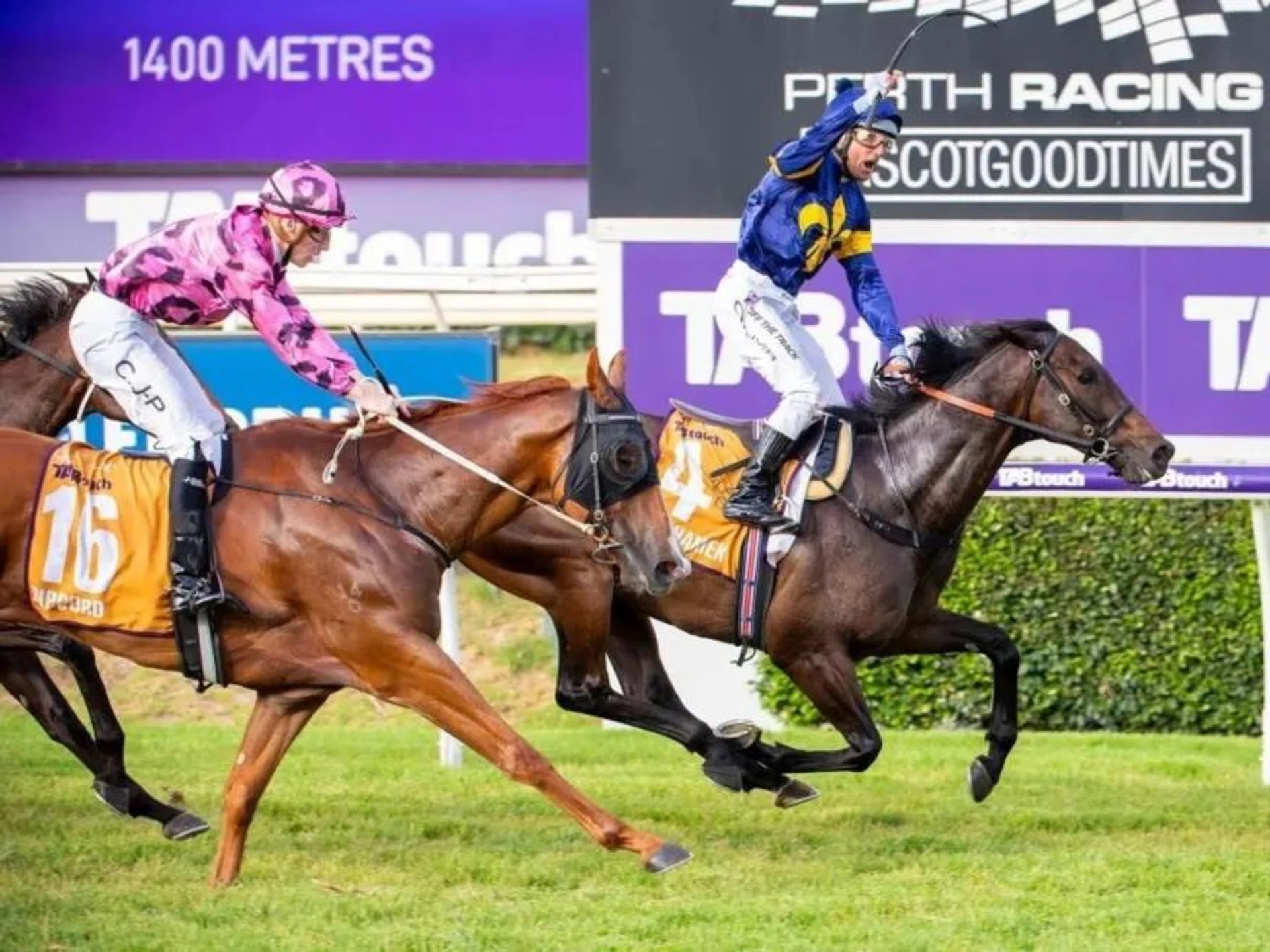 The Luke Fernie-trained Ripcord (Clint Johnston-Porter) settling for second-best behind history-making Damien Oliver, who was bringing up his last career win, on Munhamek at his very last ride of his legendary career in the specially-named Group 3 Damien Oliver Gold Rush (1,400m) at Ascot in 2023. 
