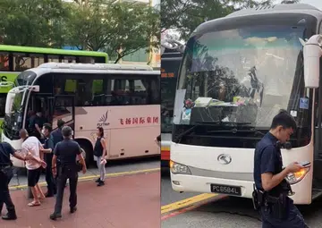 Cyclist arrested after allegedly assaulting elderly tour bus driver