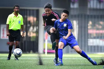 'Unleash the Roar' initiative to have 8 pillars