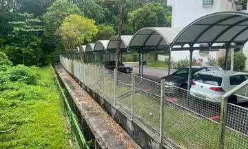 PhD student was drunk when he scaled fence in Pasir Panjang