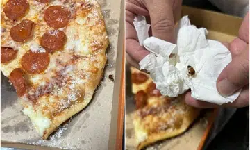 Diner spots cockroach crawling out from under Little Caesars pizza in the middle of the meal