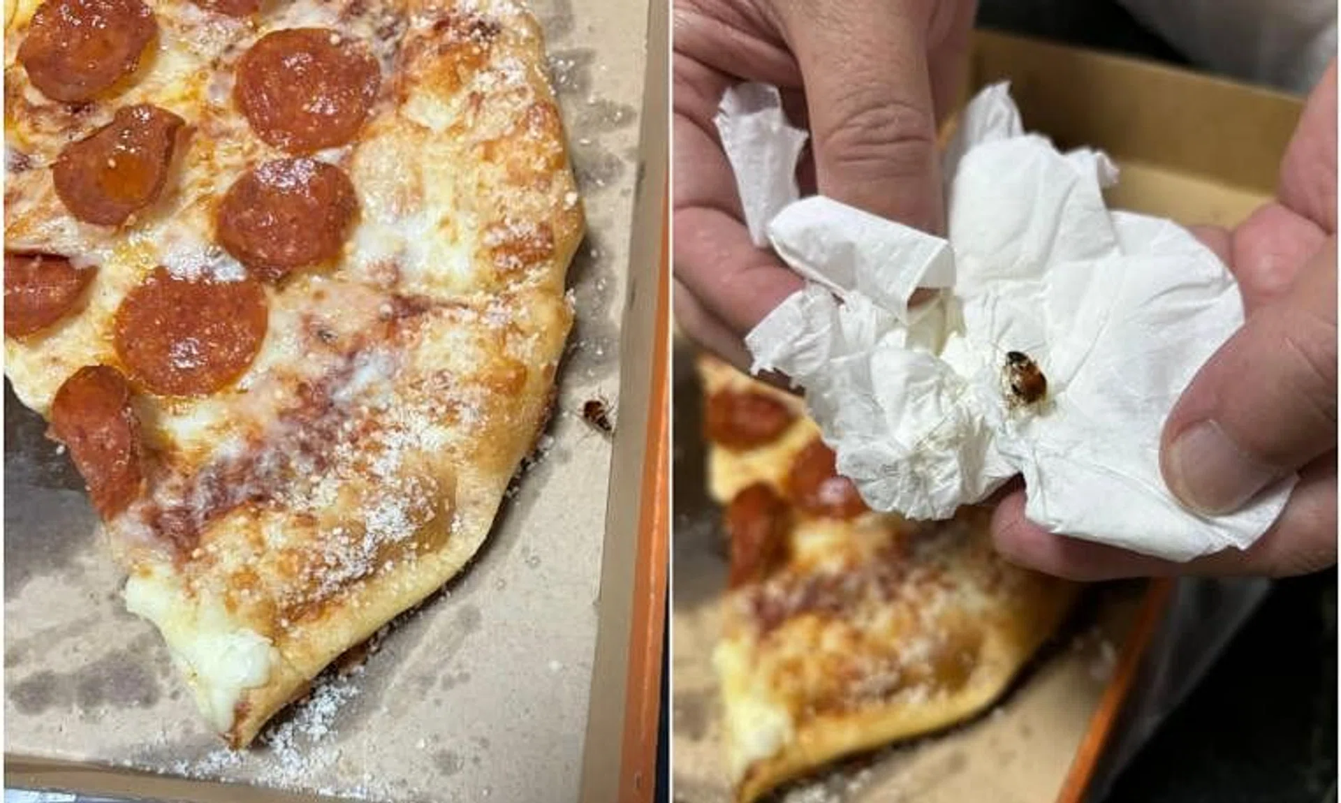 The diner, who said the cockroach was at least 2cm long, has lodged a report with the Singapore Food Agency.