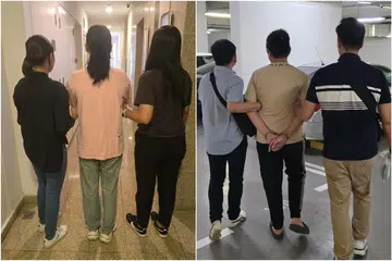 Pair accused of conspiring to cheat victims of nearly $263k walk free after stern warnings
