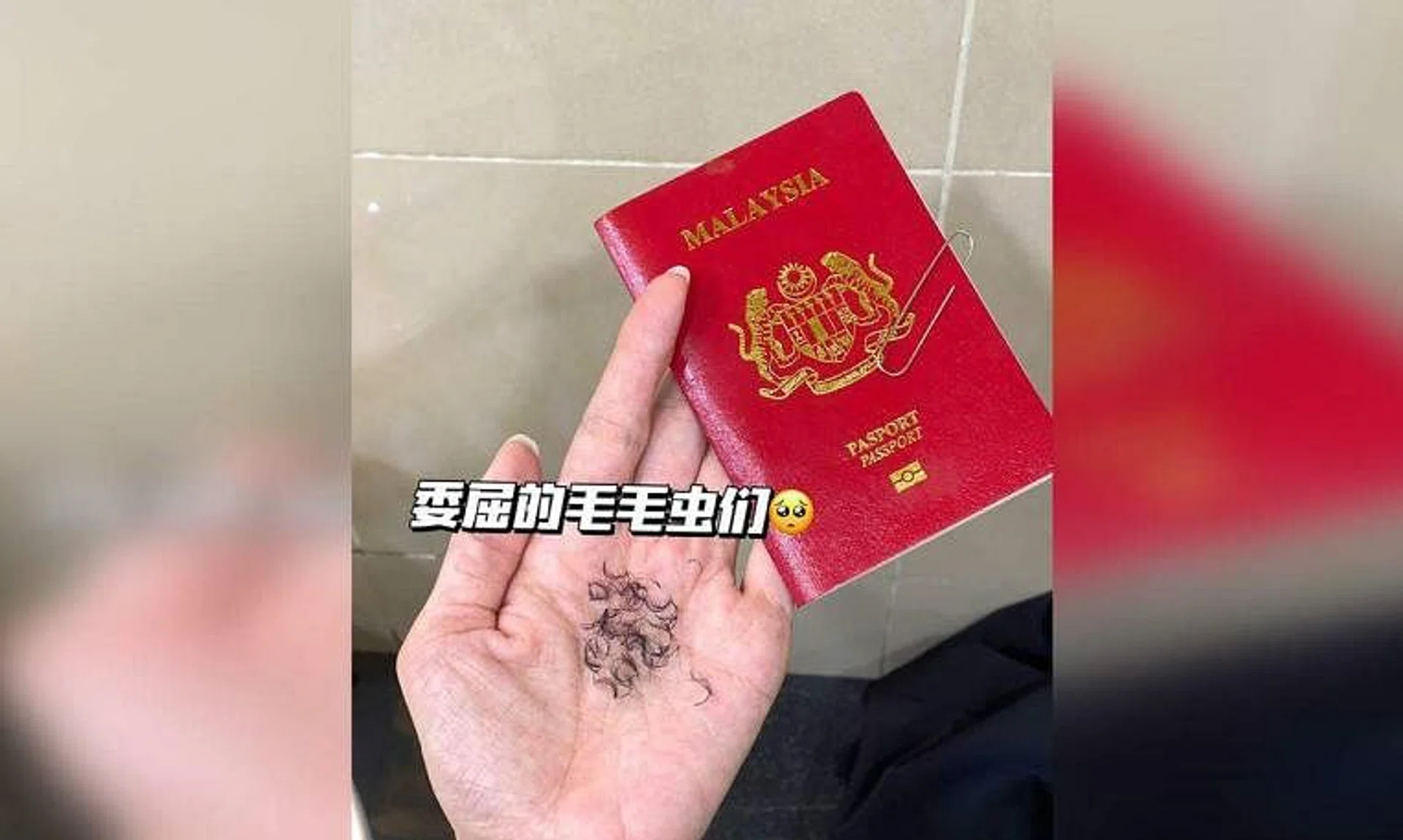 Ms Shakira Mamii said she had to pull out her freshly-done eyelash extensions “one by one” for her passport photo, after an immigration officer told her eyelash extensions were not allowed.