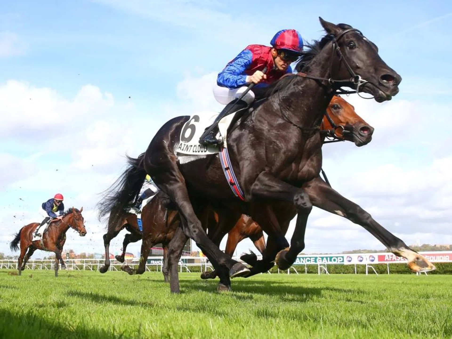 The Aidan O'Brien-trained Los Angeles winning the Group 1 Critrium de Saint Cloud (2,000m) on Oct 22, 2023. He will be one of the 16 contenders lining up in the Group 1 Prix de l'Arc de Triomphe (2,400m) at Longchamp on Oct 6. 
